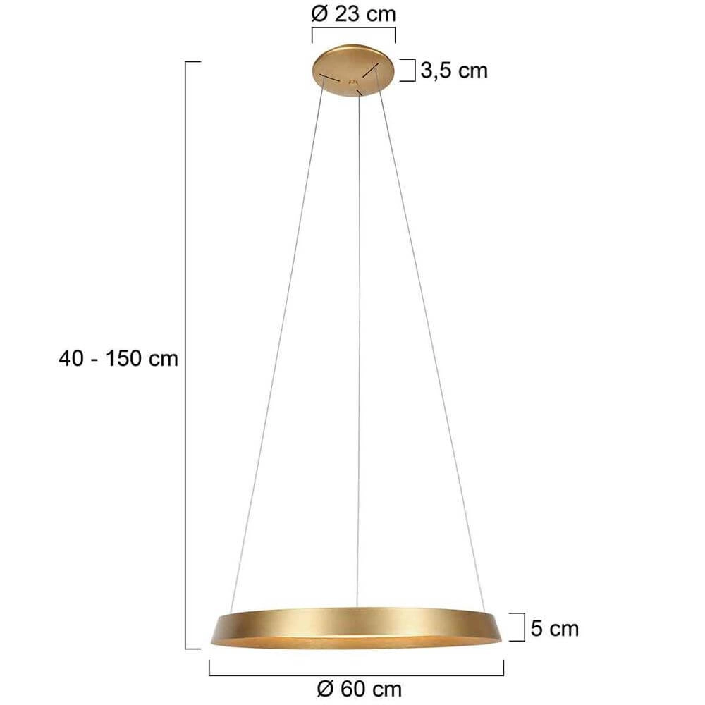 Sleek pendant lamp Ringlux gold Ø 60cm Steinhauer 8712746171969