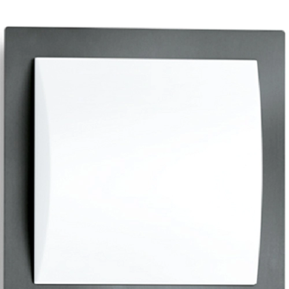 Outdoor light L 20 S ANT with montion sensor Steinel 4007841035693