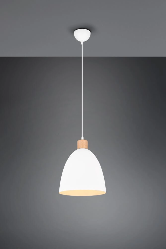 Hanging lamp Jagger white with wood brown Trio 4017807503180