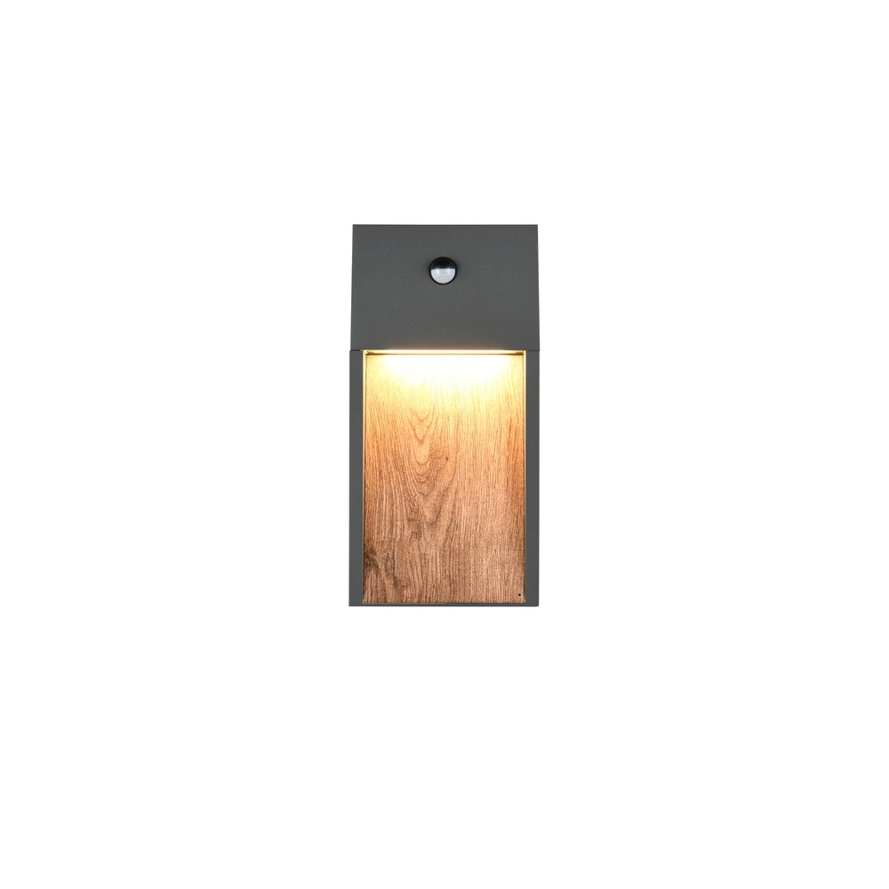 Design wall lamp Salmon Grey with wood and sensor Trio 4017807603712