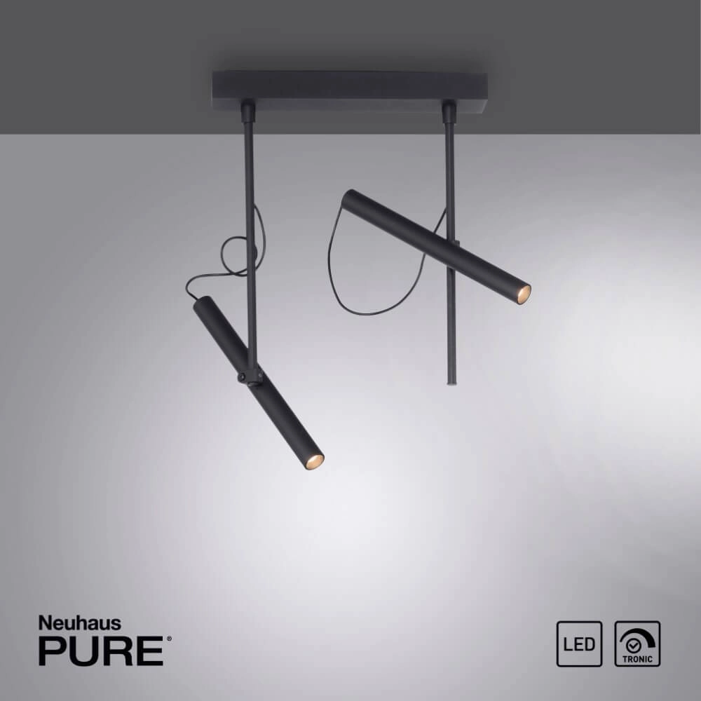Designer ceiling lamp Pure Tutua black Paul Neuhaus 4012248365533