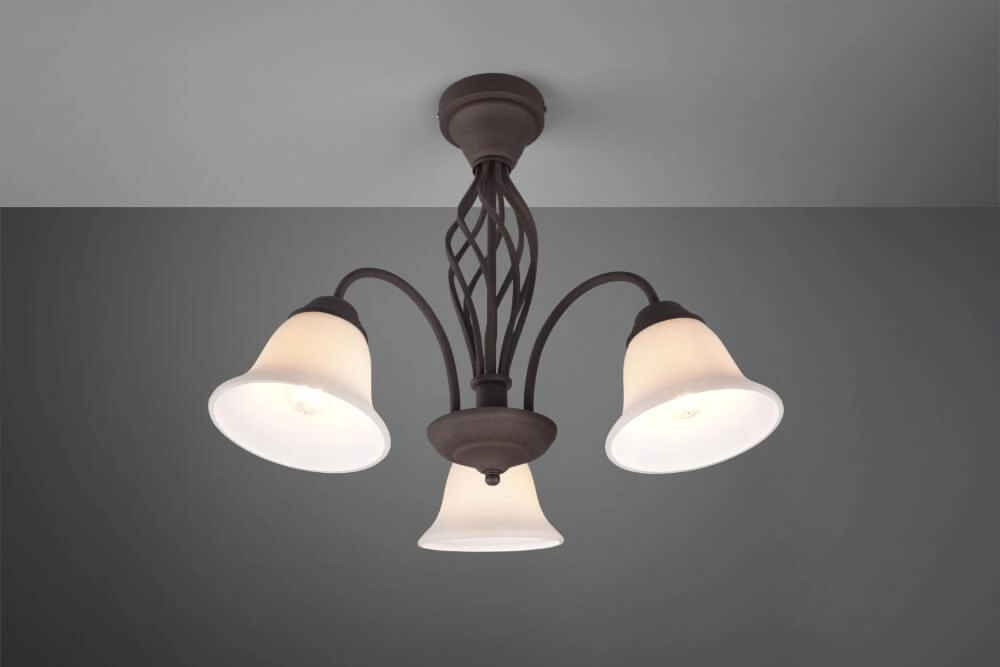 Ceiling lamp Rustica Trio 4017807504699