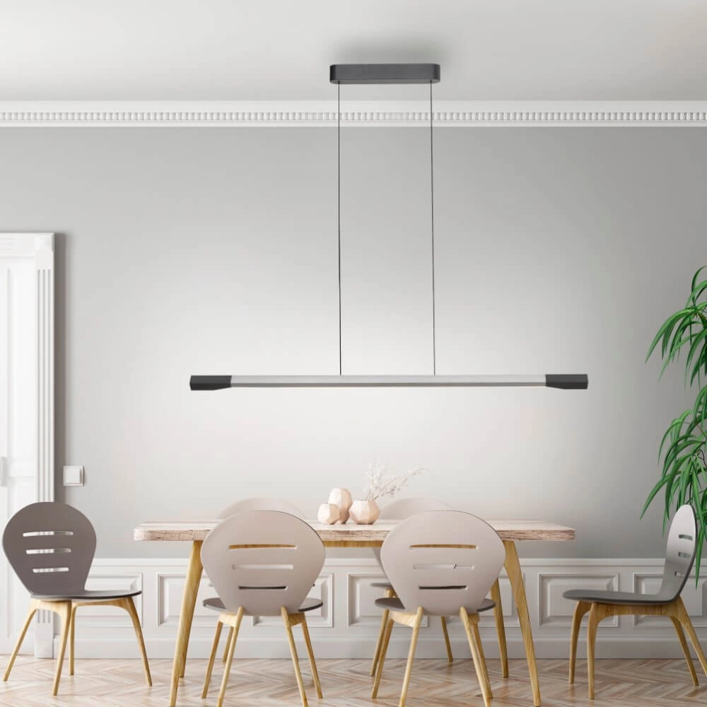 Design pendant lamp Hoop anthracite Paul Neuhaus 4012248385951