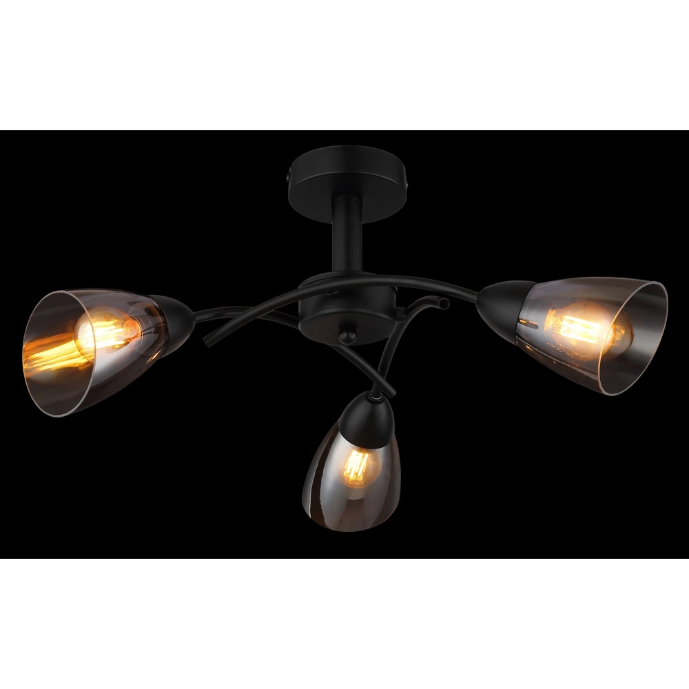 Black ceiling lamp Paula Design Globo 9007371589524