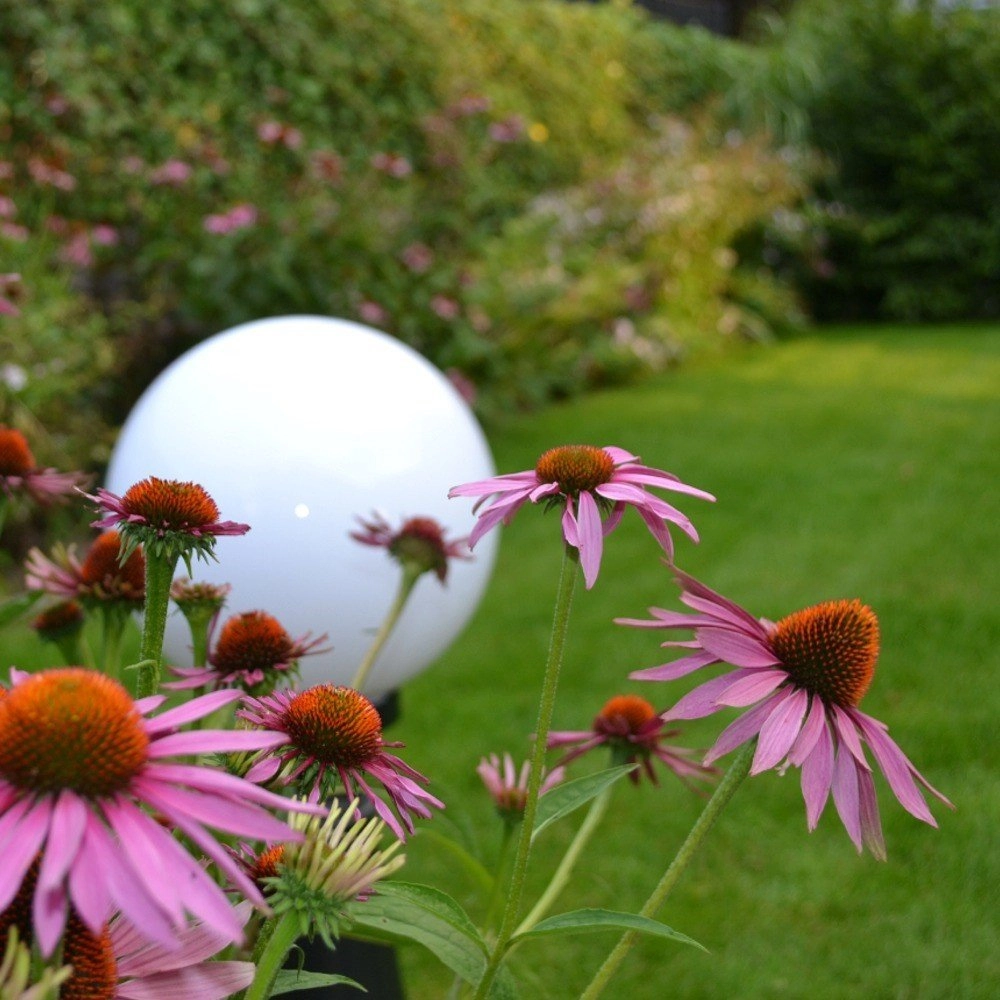 Ball lamp Bolano 20cm. Lyora 8716803507319