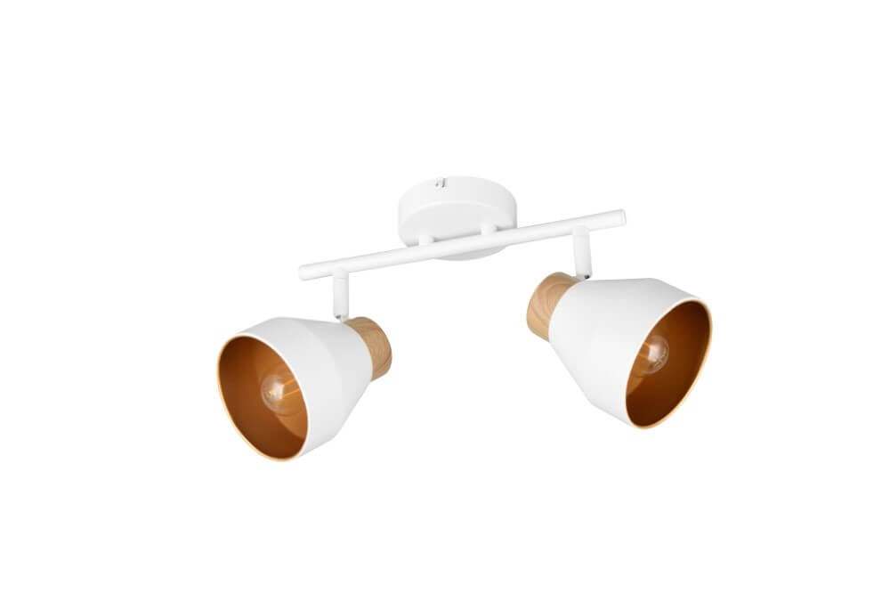 Design ceiling lamp 2-lights Valentin white Trio 4017807637427