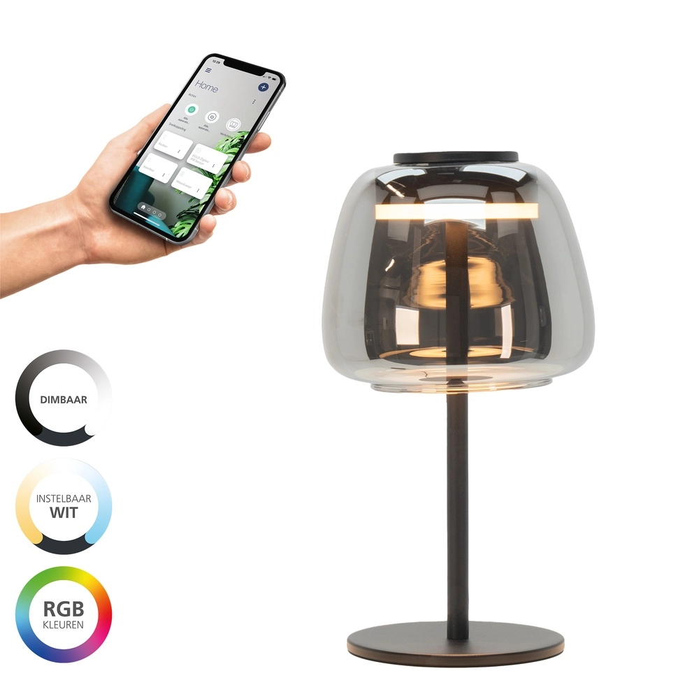Table lamp Alfero-Z Smoke Glass - App Control