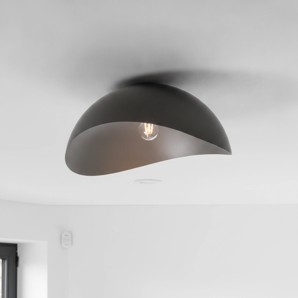 Ceiling lamp Opsi black Ø 50cm
