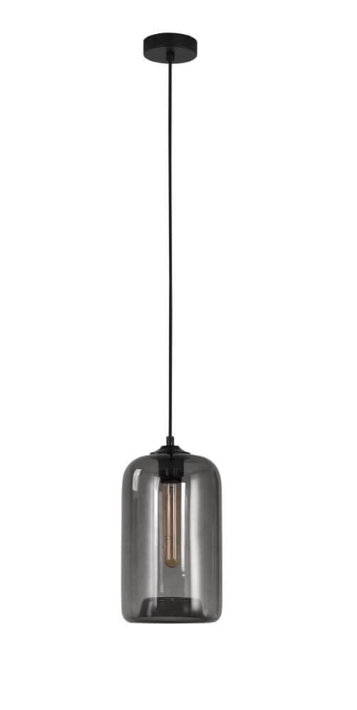 1-light hanging lamp Botany smoke glass Artdelight 8719831737765