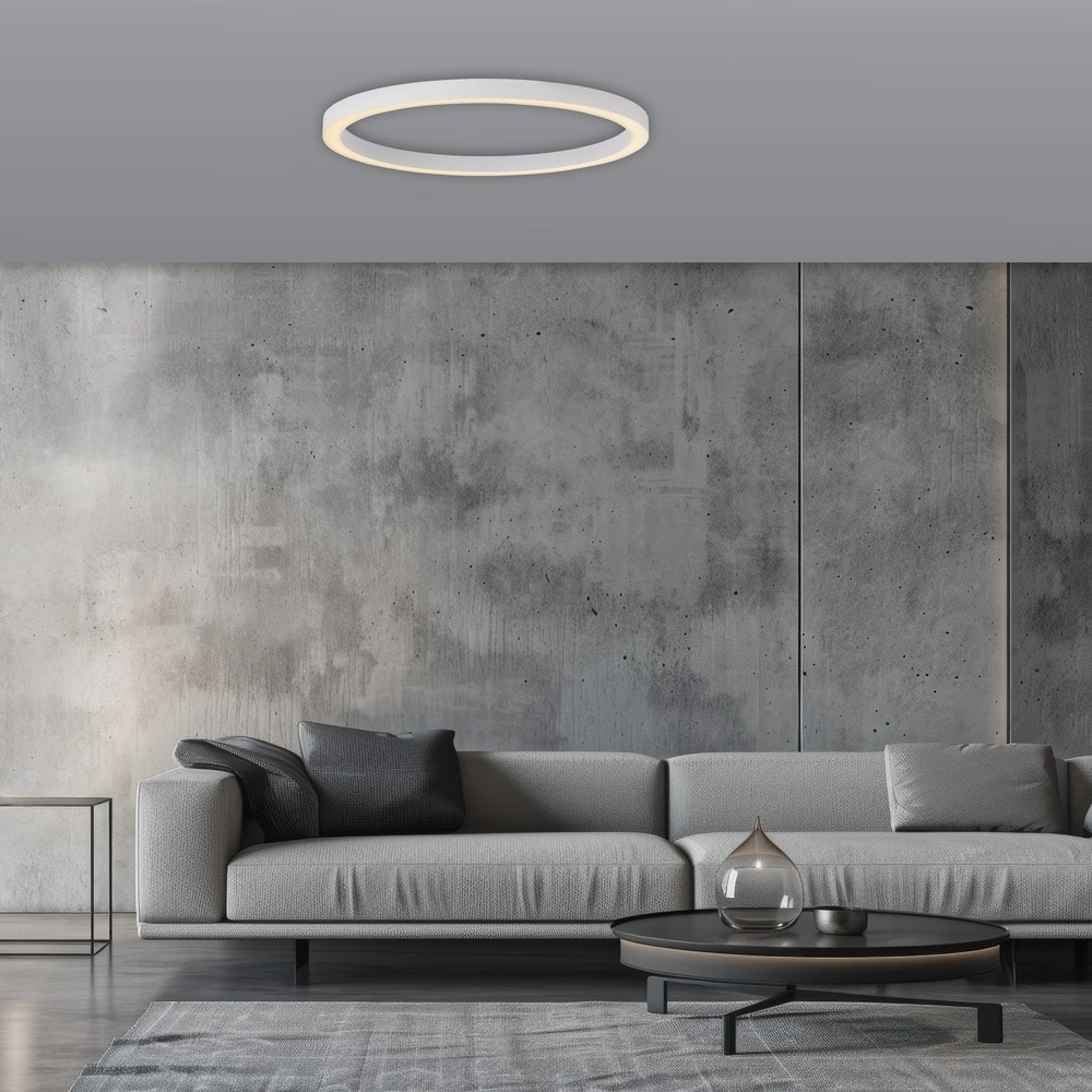Sleek led ceiling lamp Pure Lines Round Ø 70cm - white Paul Neuhaus 4012248395813