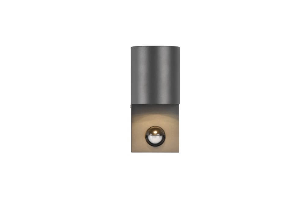 Downlighter Roya with sensor Trio 4017807529210