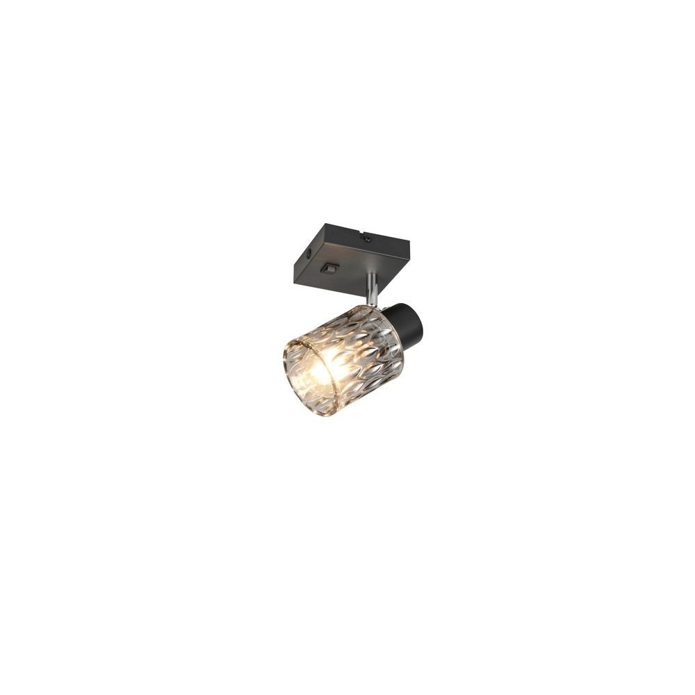 Wall light Jack Black with switch Trio 4017807643855