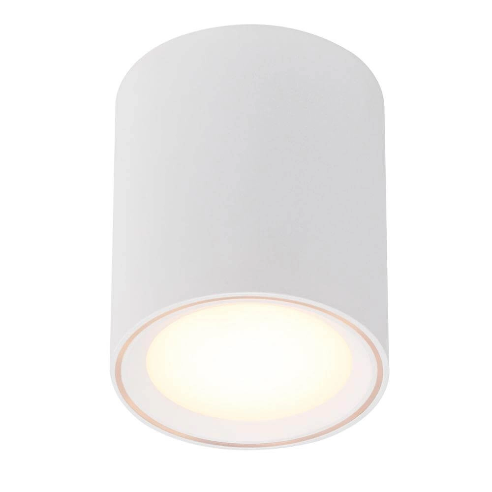 White spotlight Fallon 12cm x Ø 10cm