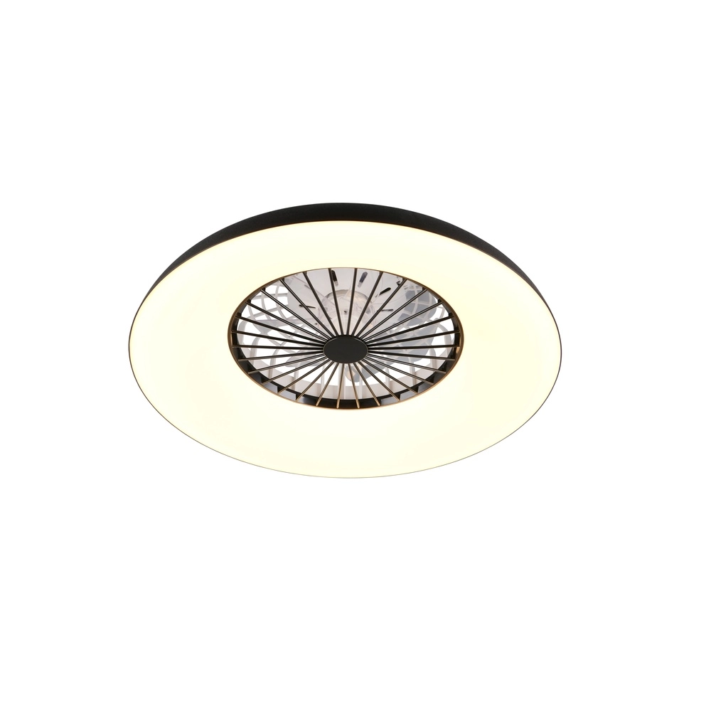 Design fan Svaerholt black Ø 60cm with RGB function Trio 4017807688795