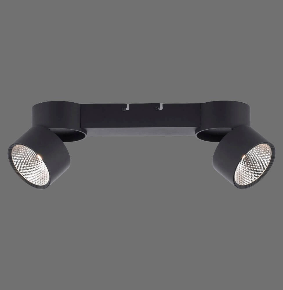 Ceiling lamp Pure Nola 2-light black Paul Neuhaus 4012248372005