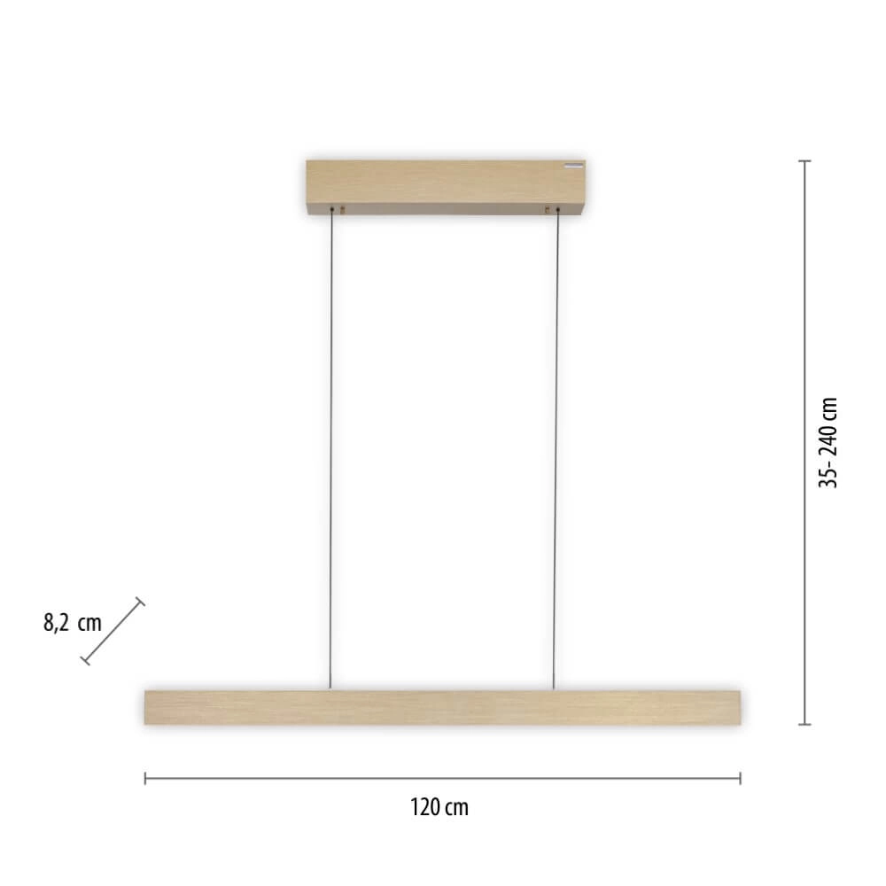 Design hanging lamp Pure E-Motion brass Paul Neuhaus 4012248372913