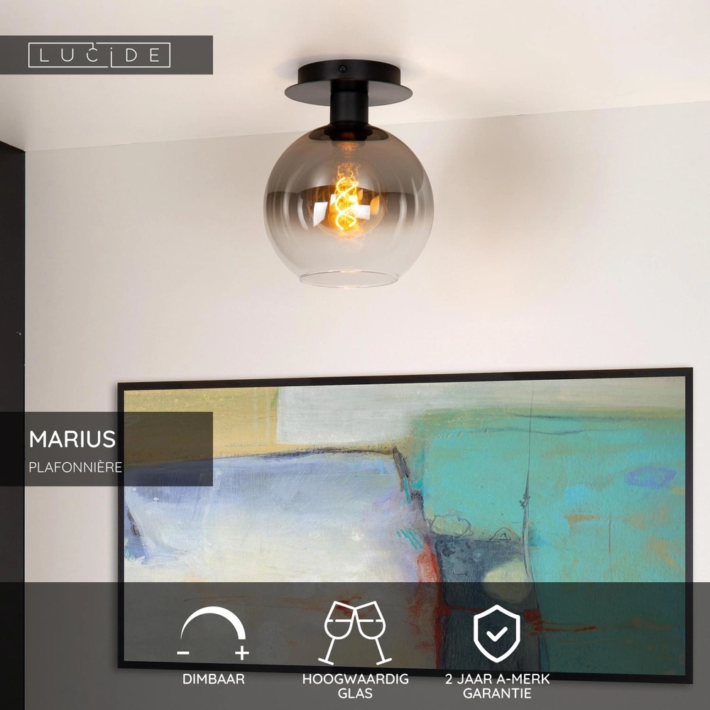 Ceiling lamp Marius black with smoke glass Lucide 5411212740984