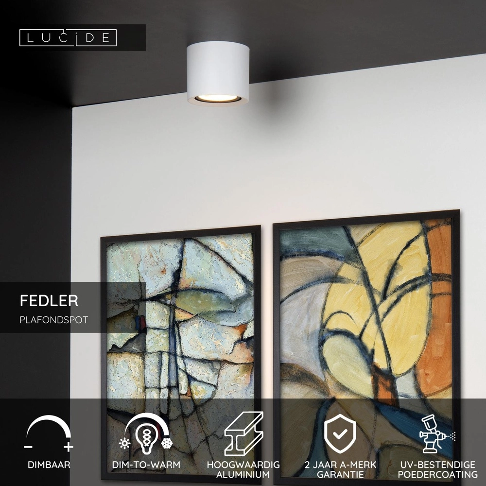 Ceiling spot Ø 12cm Fedler GU10 ES111 white Lucide 5411212092137