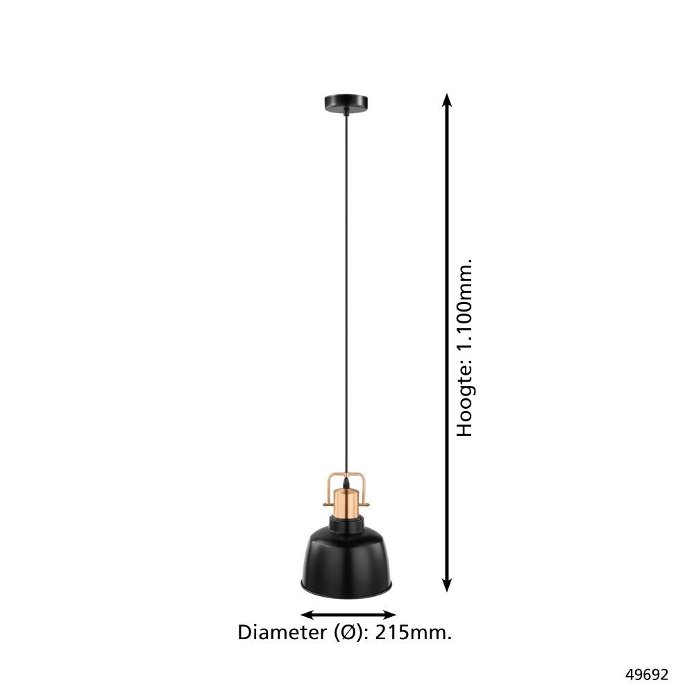 Pendant lamp Bodmin 21,5cm Eglo 9002759496920
