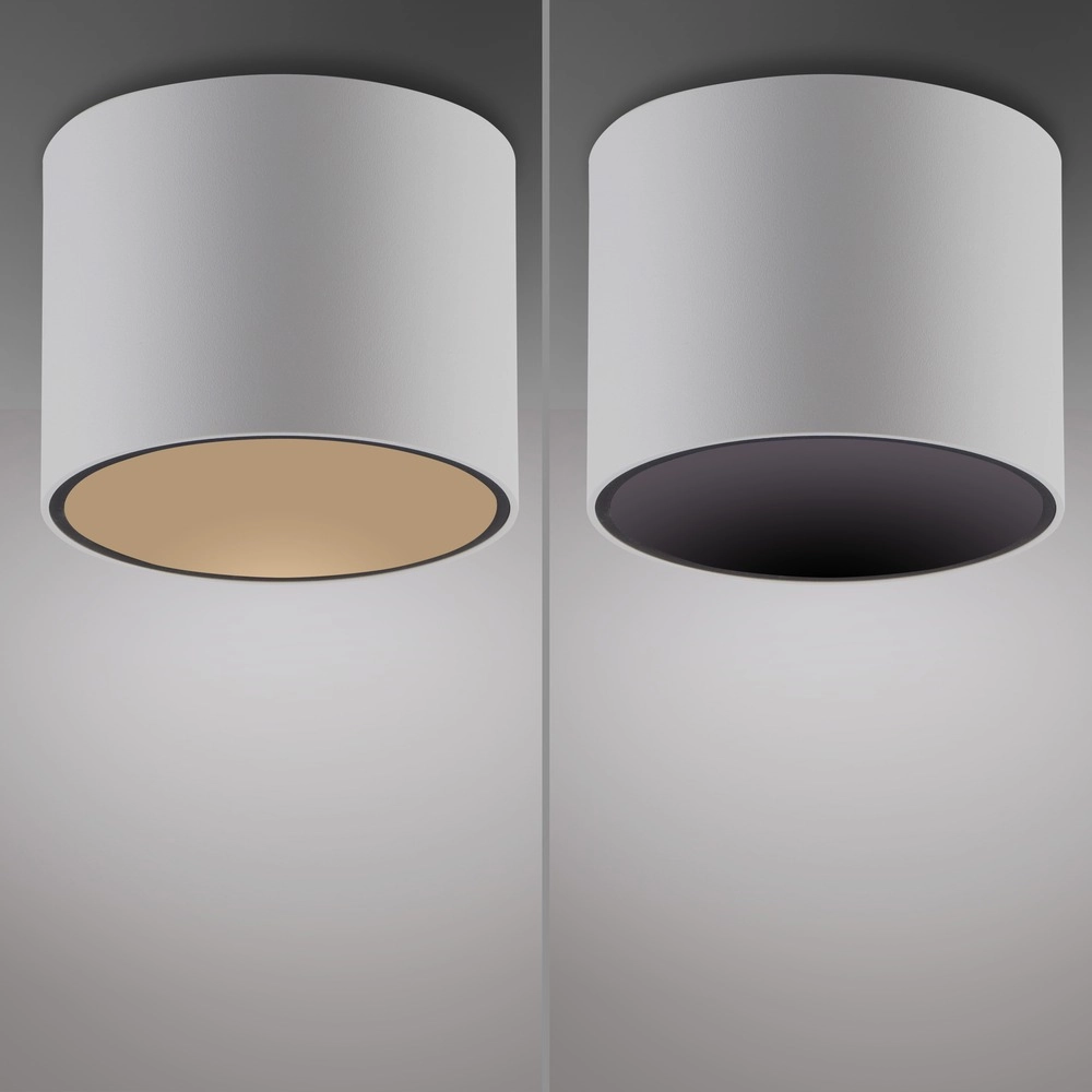 Ceiling surface-mounted spot Pure Point Ø 11cm - white Paul Neuhaus 4012248395639