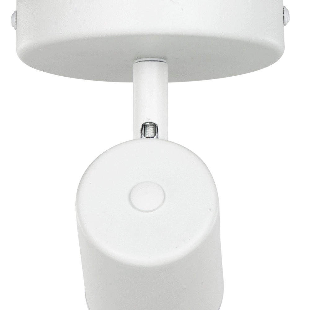 Surface-mounted spot Consuma 1 only white Eglo 9008606355891