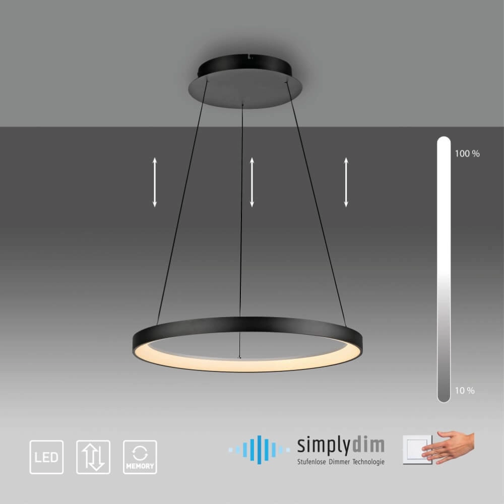 Round pendant lamp Hoop black Paul Neuhaus 4012248384695