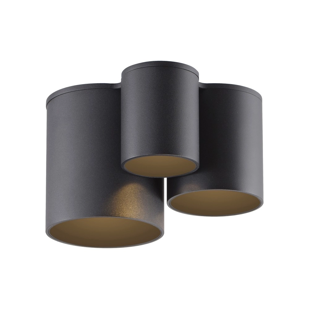 3L ceiling light Pure Point black pearl Paul Neuhaus 4012248395714