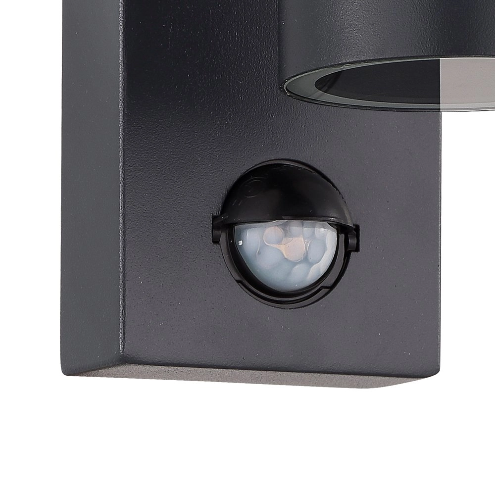 LED Terror Lamp Riga 5 with motion detector Eglo 9002759328993