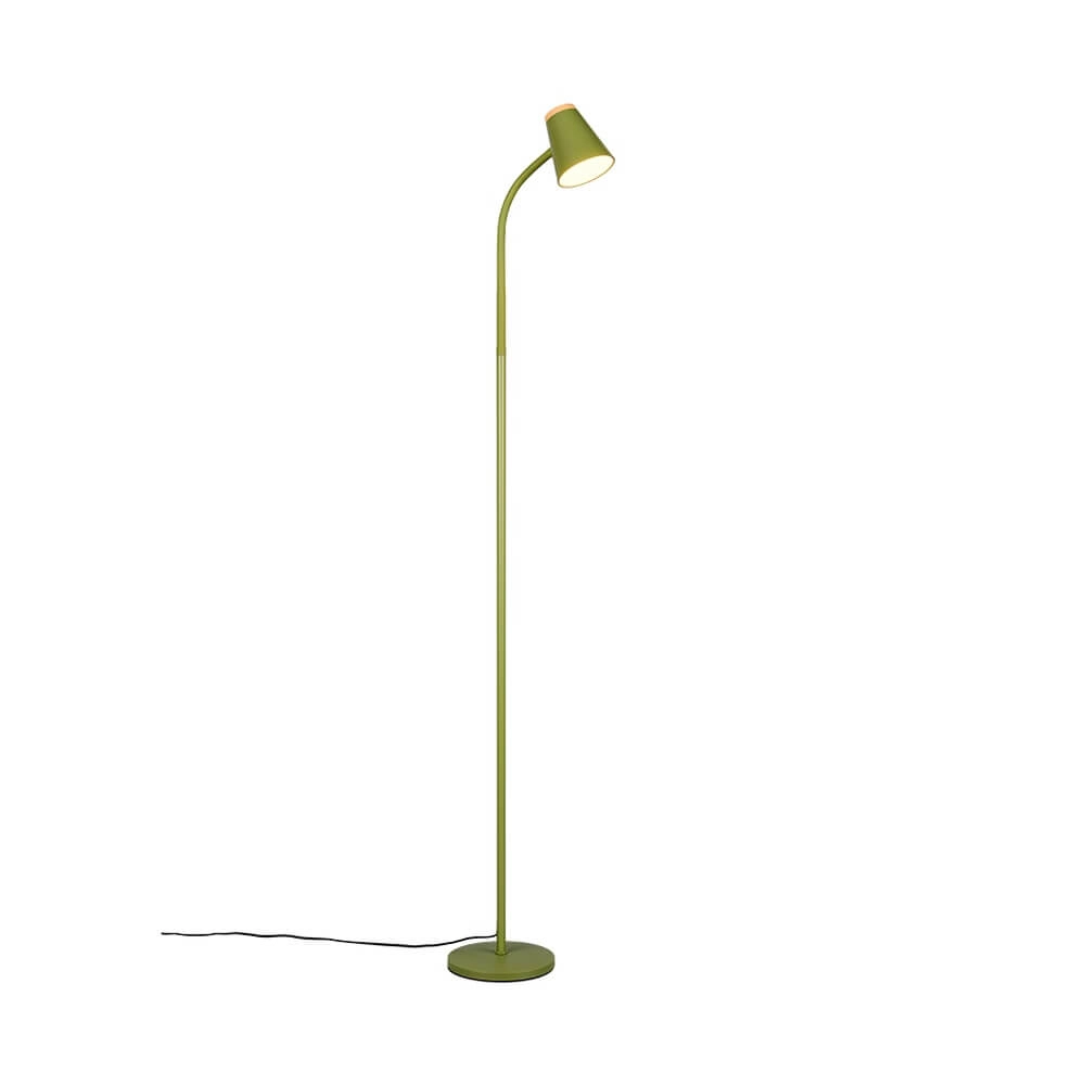Floor lamp Pongo green