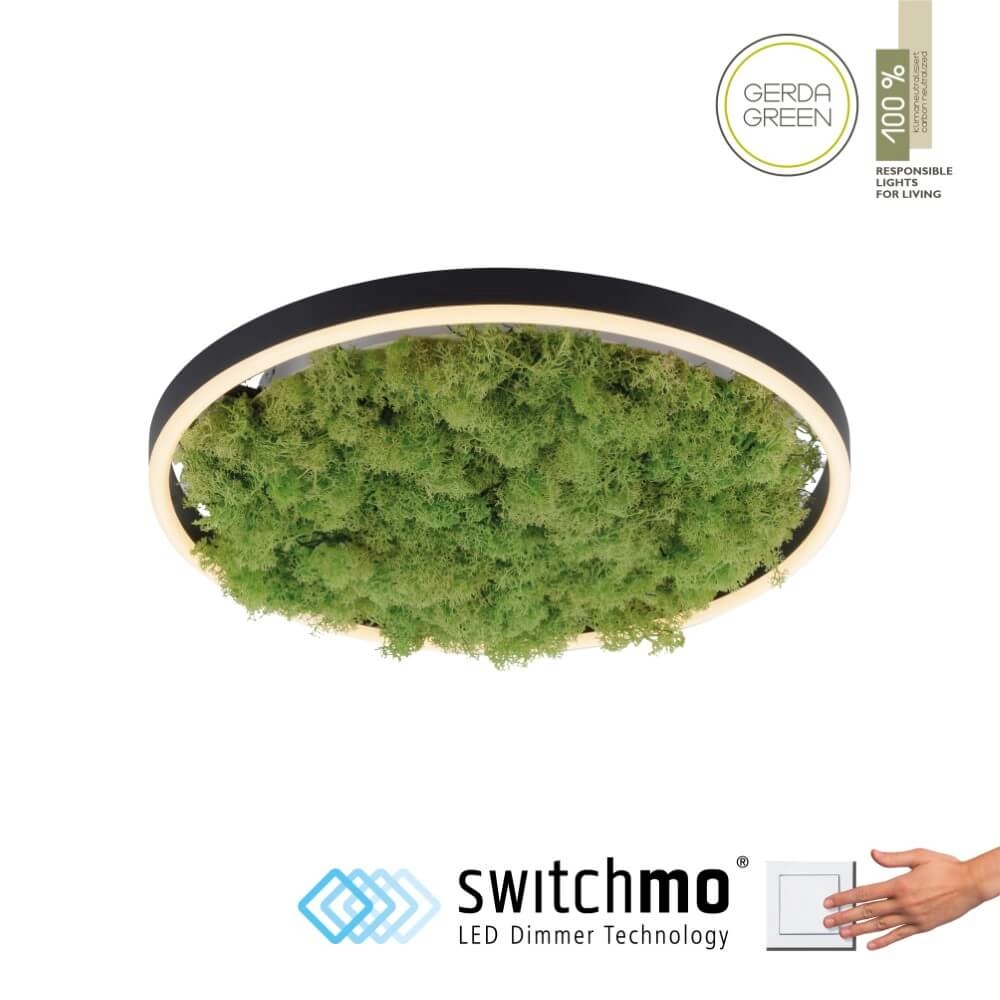 Ceiling lamp Green Ritus with moss Ø 39,3cm Just Light 4043689994792