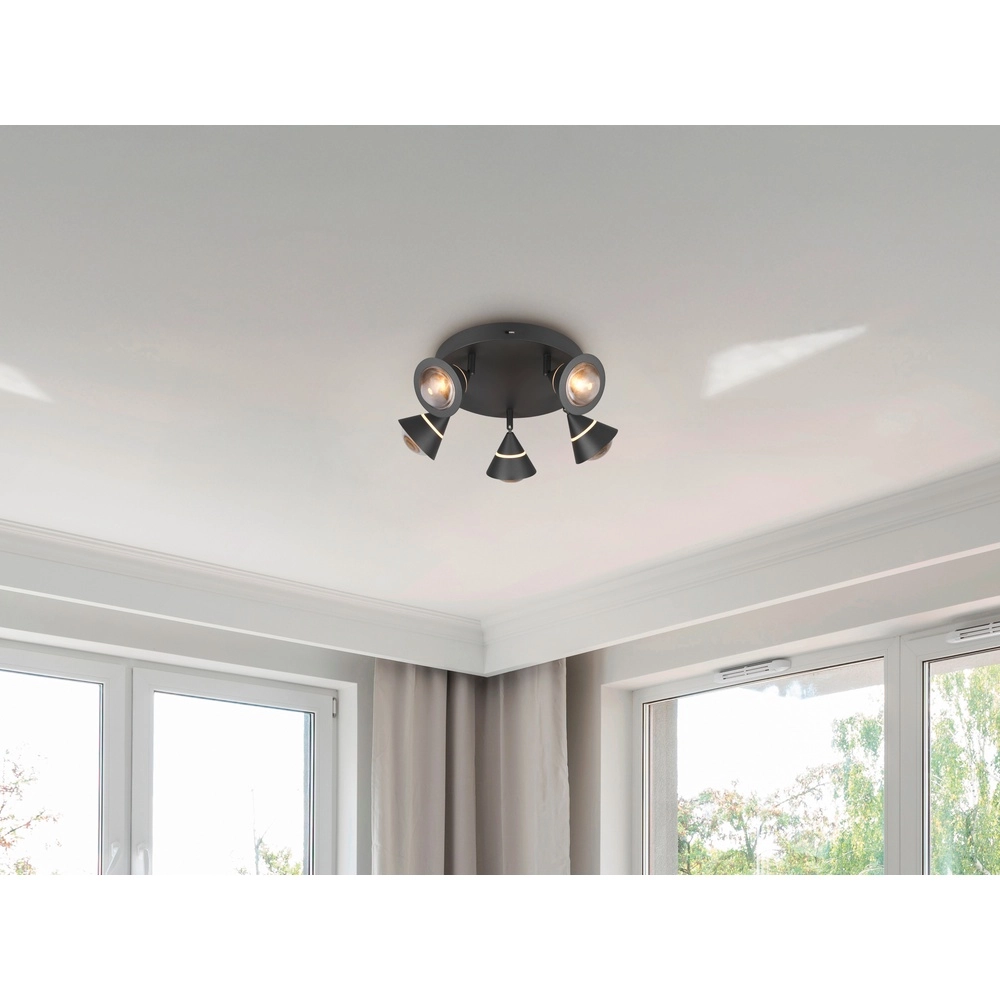 Ceiling lamp Romeo black Trio 4017807670417