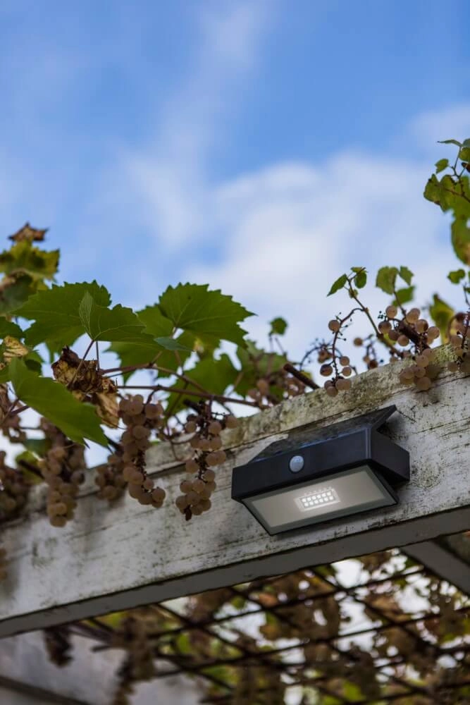 Solar wall lamp Arrow anthracite Lutec 6939412046402