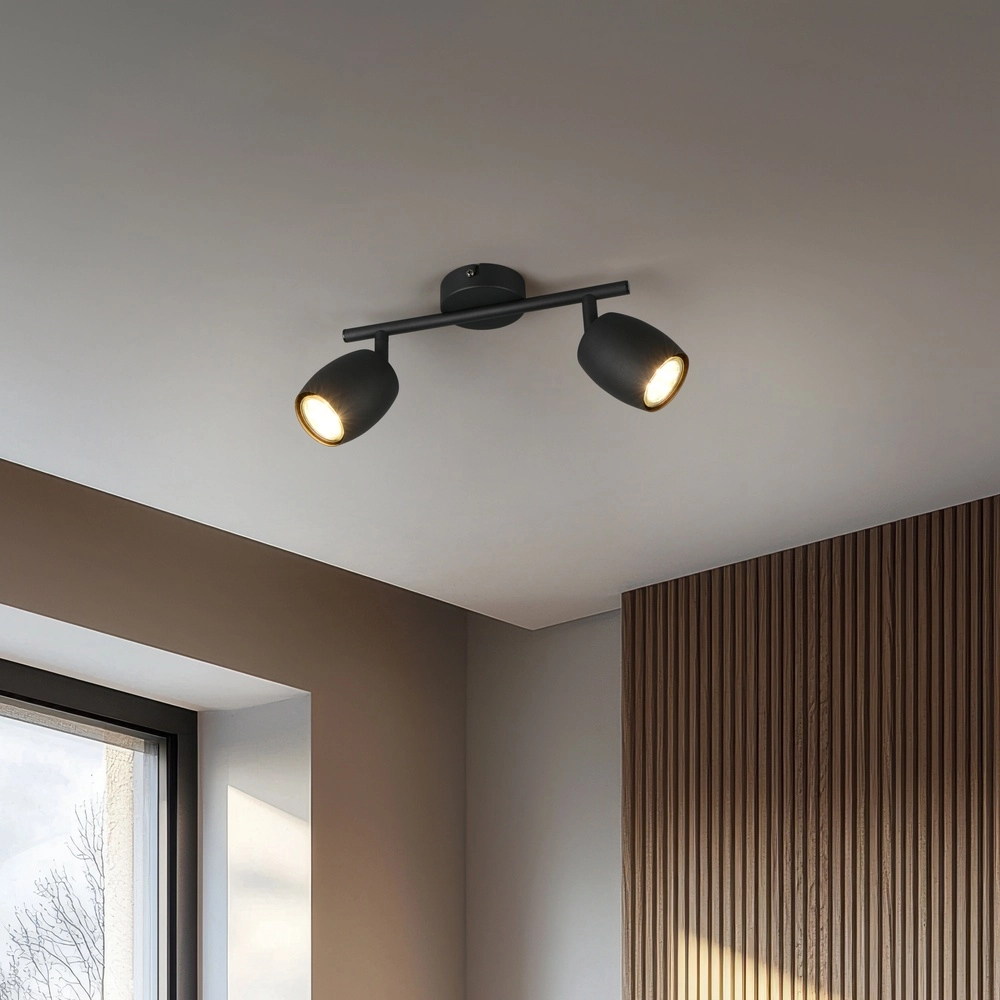 Ceiling lamp Nancy 2-light black Trio 4017807656602