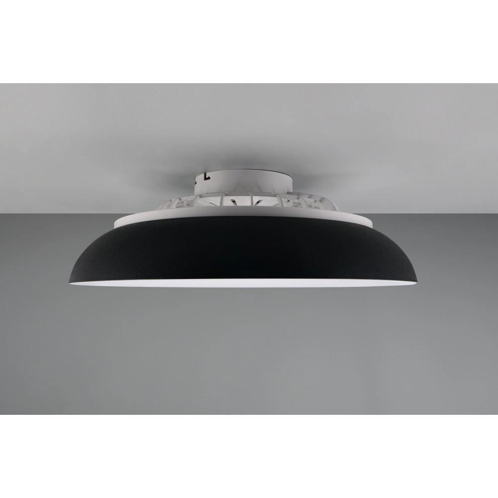 Design fan Svaerholt black Ø 60cm with RGB function Trio 4017807688795