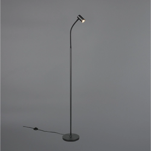 Design floor lamp Taryn Black