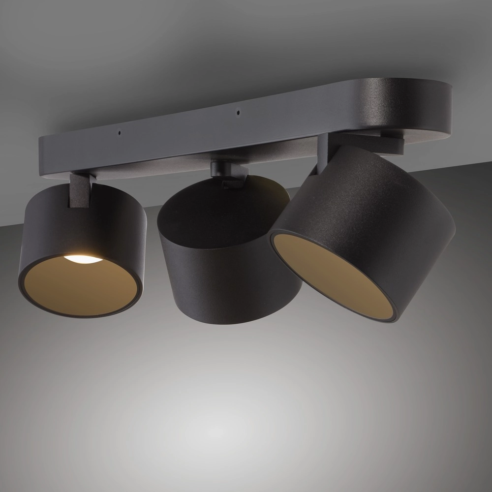 3L Led surface-mounted spotlight Pure Cup black pearl Paul Neuhaus 4012248395615