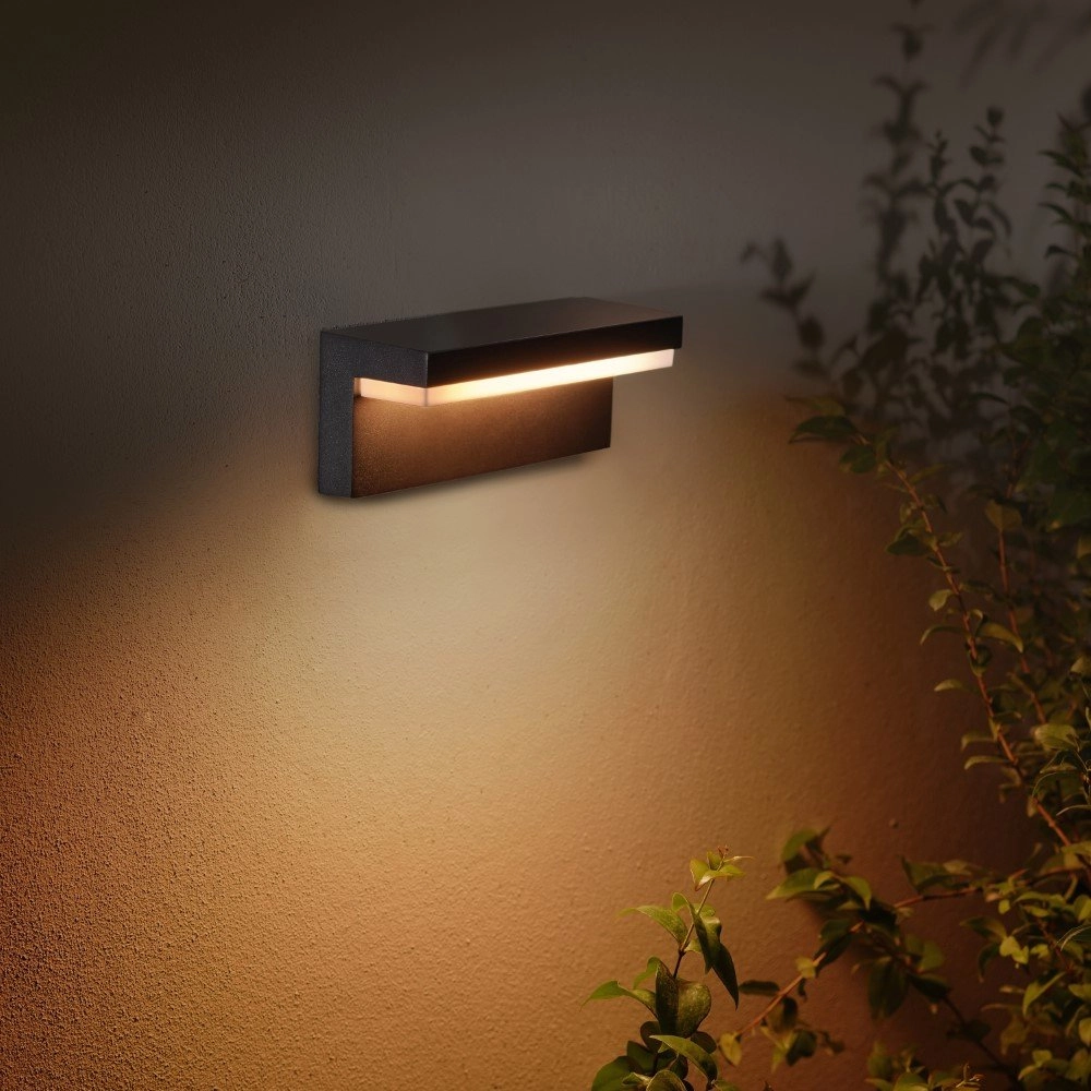 Outdoor lamp Downlight Hue Nyro black Philips 8718696174302