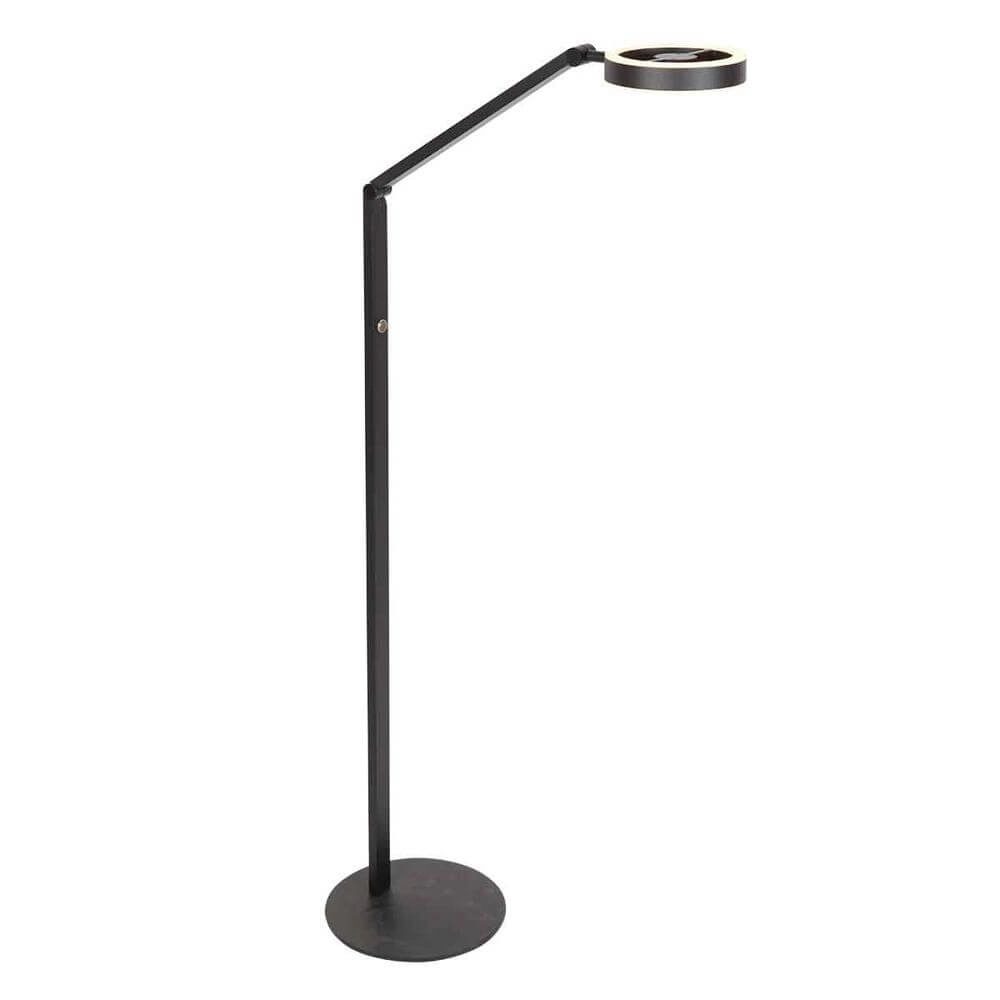 Floor lamp Ringlux black