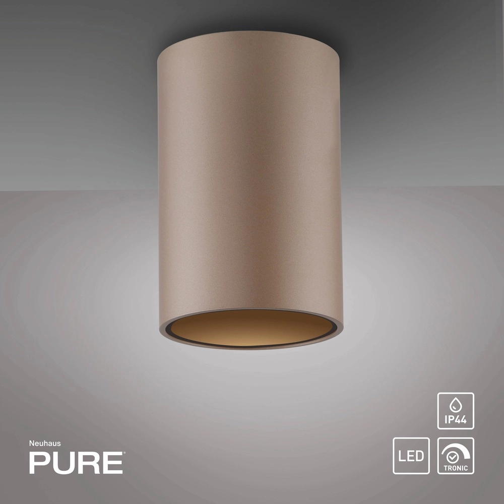Ceiling surface-mounted spot Pure Point Ø 6cm - bronce Paul Neuhaus 4012248395691