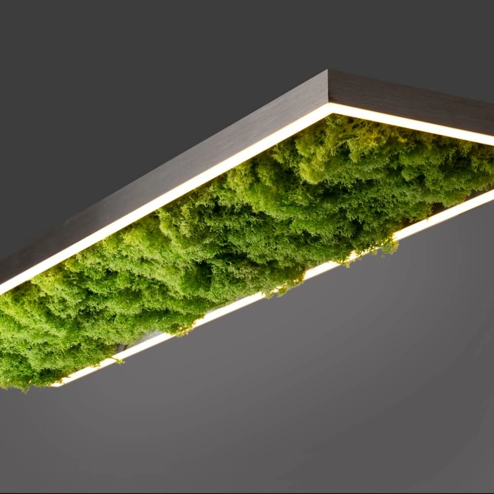 Rectangular ceiling lamp Green Knut with moss Just Light 4043689994846