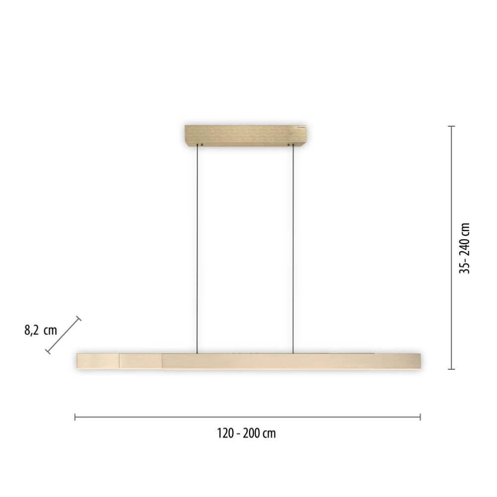 Design hanging lamp Pure Moto-Rise brass Paul Neuhaus 4012248371626