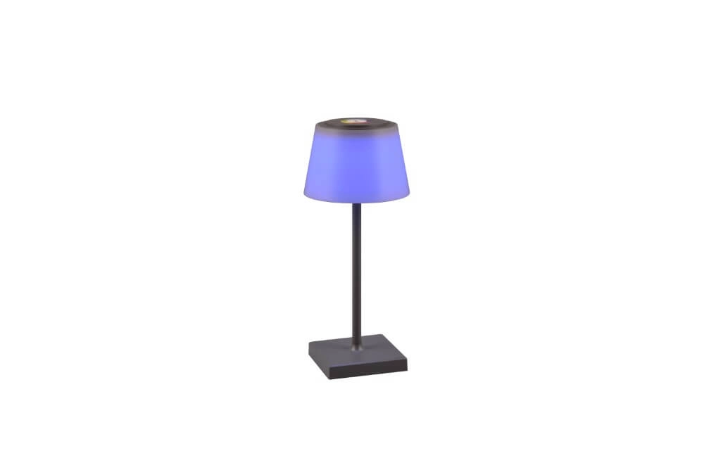 Rechargeable table lamp Sanchez anthracite Trio 4017807570595
