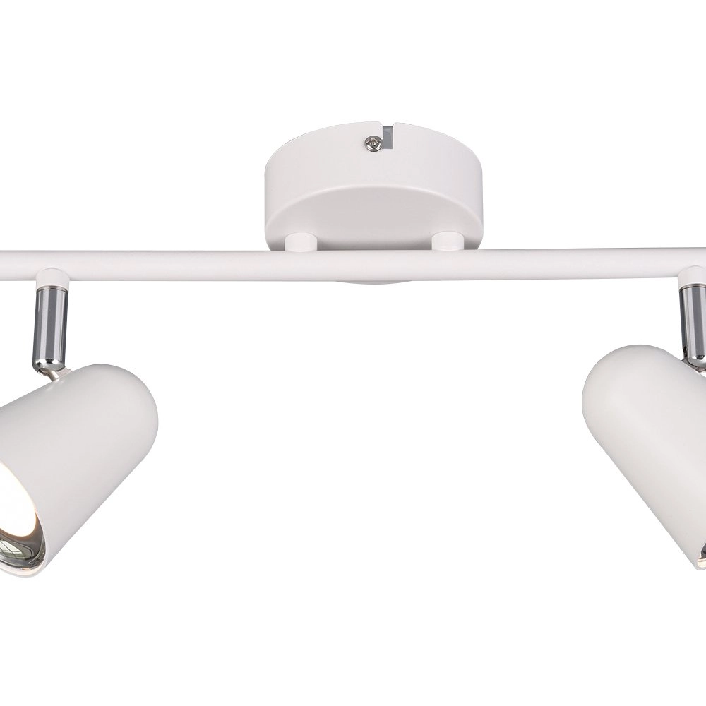 Ceiling spot Toulouse 2-light Trio 4017807425147