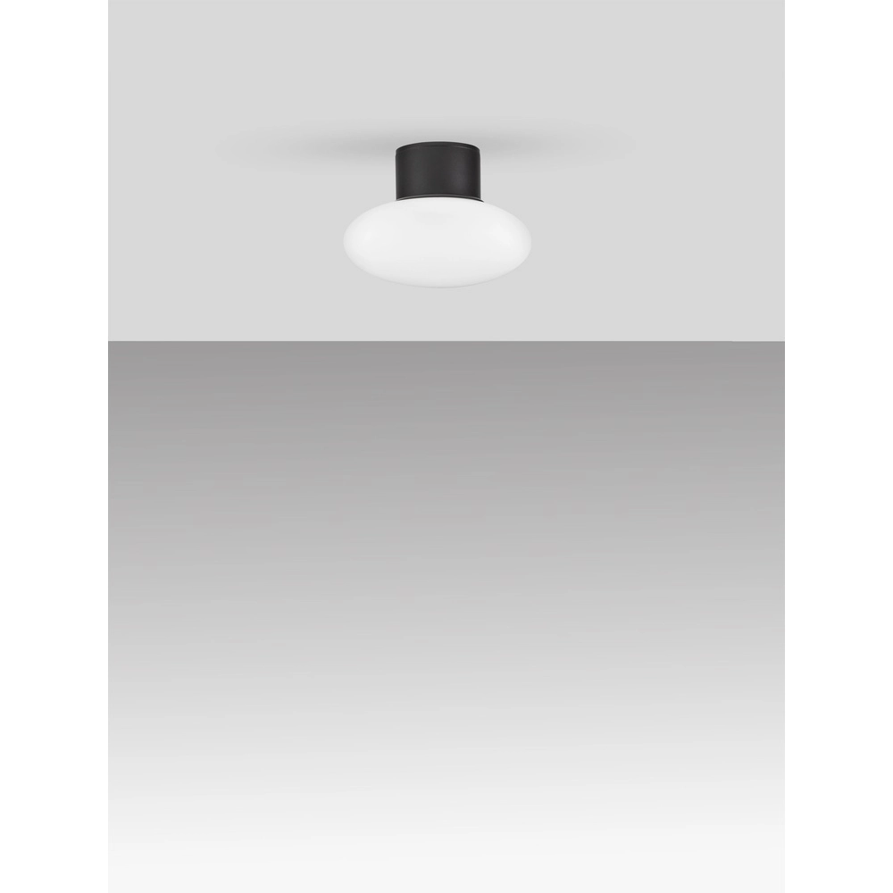 Ceiling lamp Ali anthracite with oval white glass Lyora 5212017476456