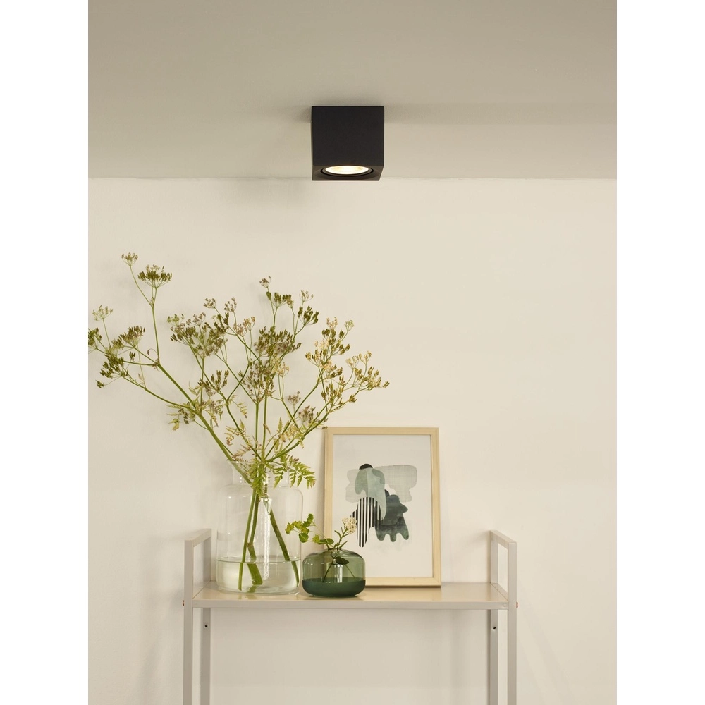 Ceiling spotlight Fedler GU10 ES111 black Lucide 5411212092151