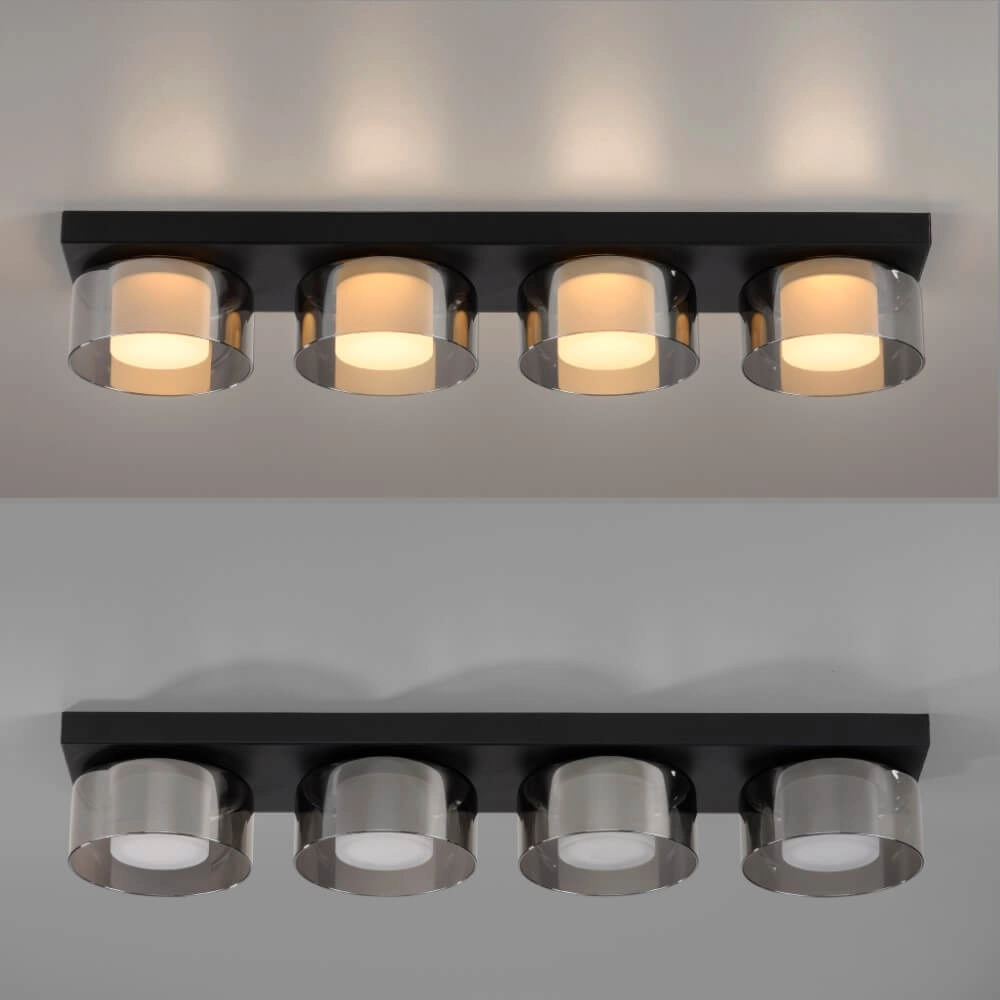 Black ceiling lamp Rika 4-light black Paul Neuhaus 4012248385029