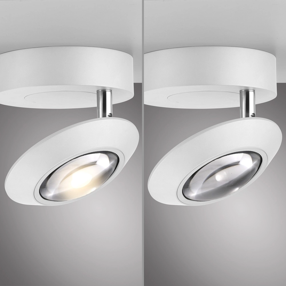 Led ceiling spot Pure Oculis white Paul Neuhaus 4012248397046