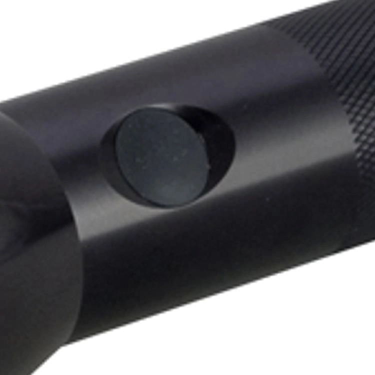 2C-cell Mag Led ML100 Black Maglite 38739800233