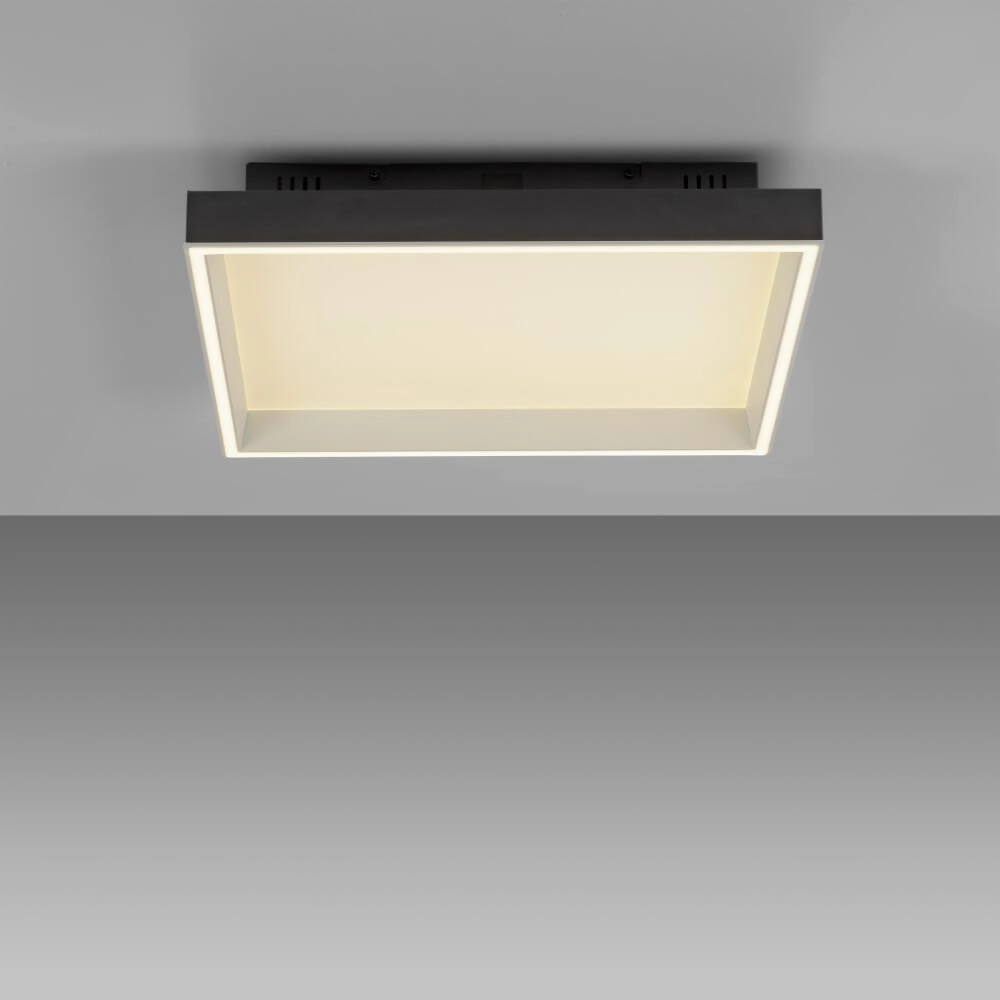 Black ceiling lamp Q-Magong square Paul Neuhaus 4012248384602
