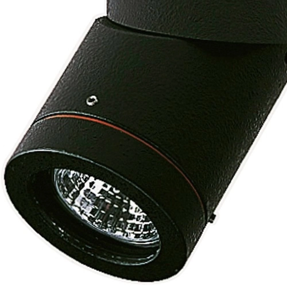 Surface-mounted spotlights outside ceiling Orientable black Albert 4007235621389